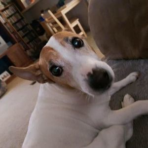 Meet your Posher, Sean